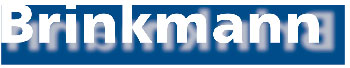 brinkmann-logo