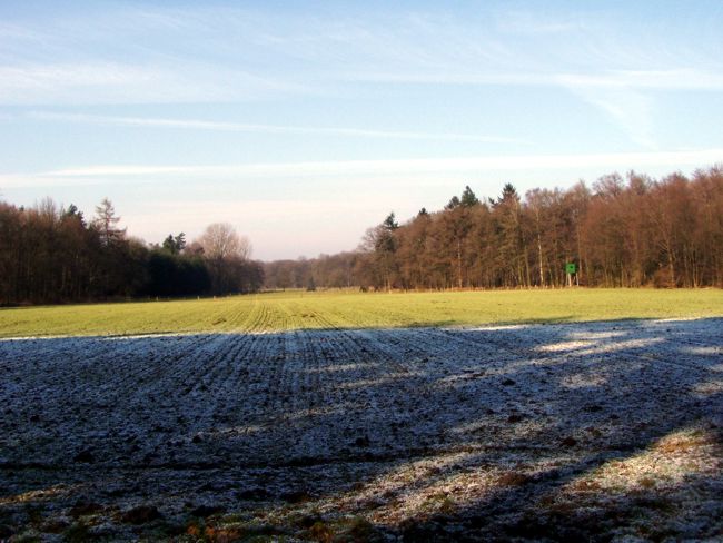 Der Wld wirft im Winter einen lngen Schatten
