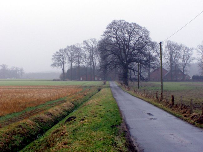 Blick entlang einer Landstrae