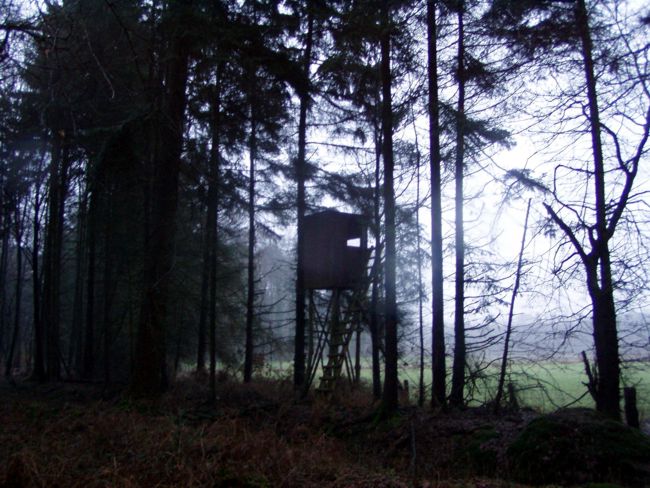 Ein Hochsitz am Waldrand