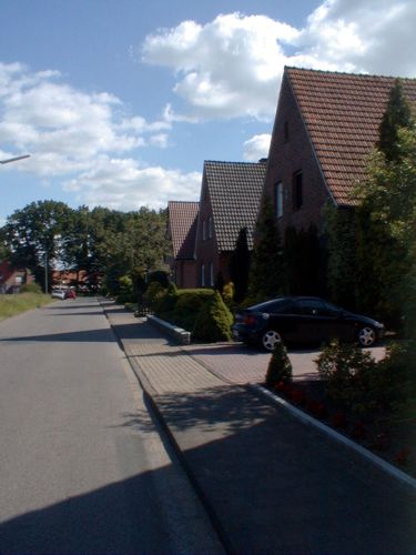 Blick entlang dem Buchenweg