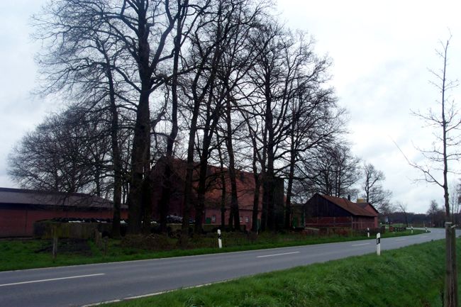 Blick auf einen Bauernhof