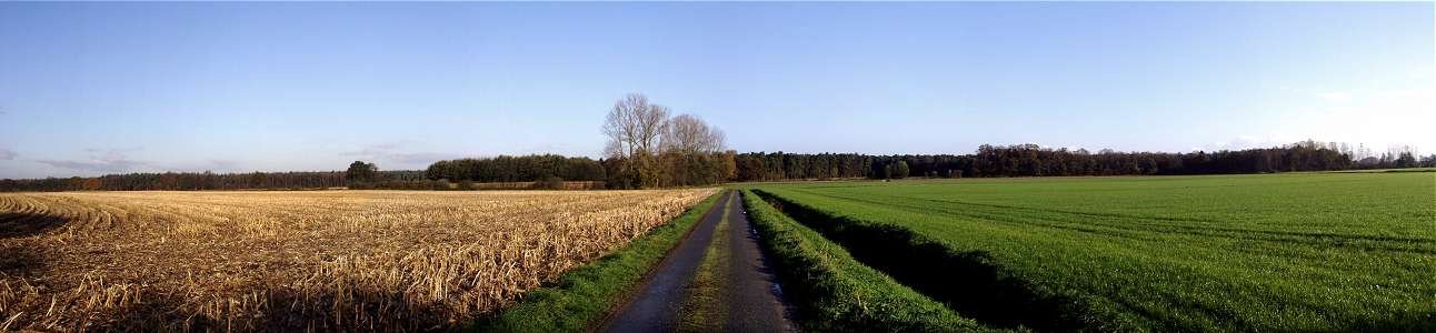 Panoramaufnahme von zwei Feldern