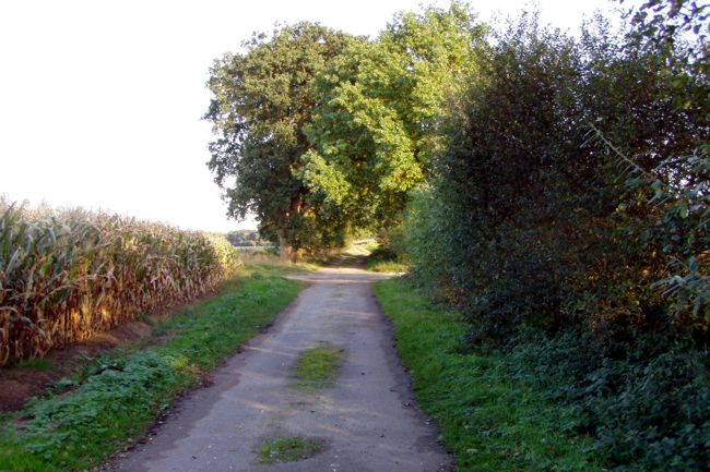 kleiner Bauernweg