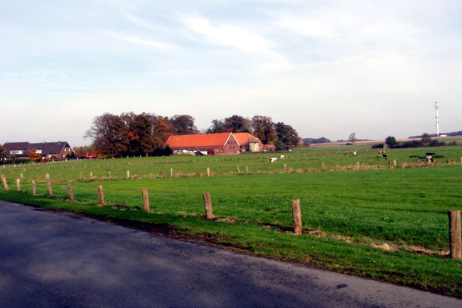 Aussicht auf enem groen Bauernhof