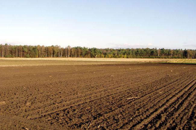 frisch geackertes feld