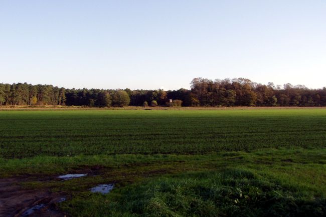 schnes Feld 