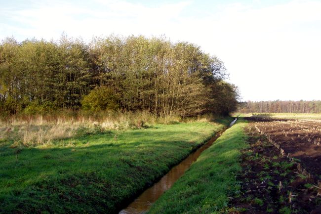 kleiner brauner Bach