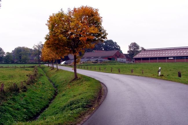 Straenkurve Richtung Bauernhof