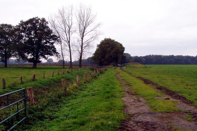 kleiner Traktorenweg