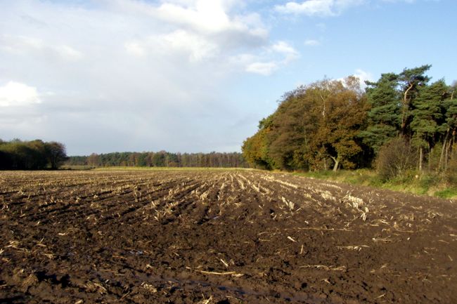 frisch geackertes Ackerfeld