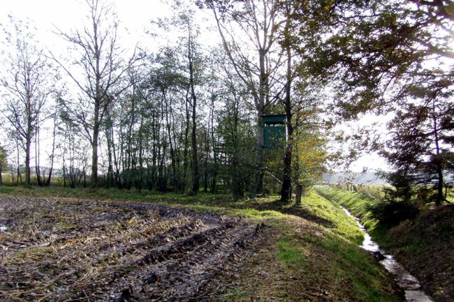 weiter Fhhrung des kleinen Fluss