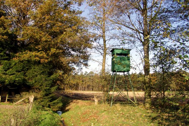 Jagdhochhtte in Grn