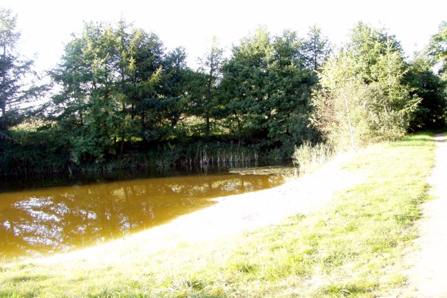 Aussicht auf einem kleinen Teich 