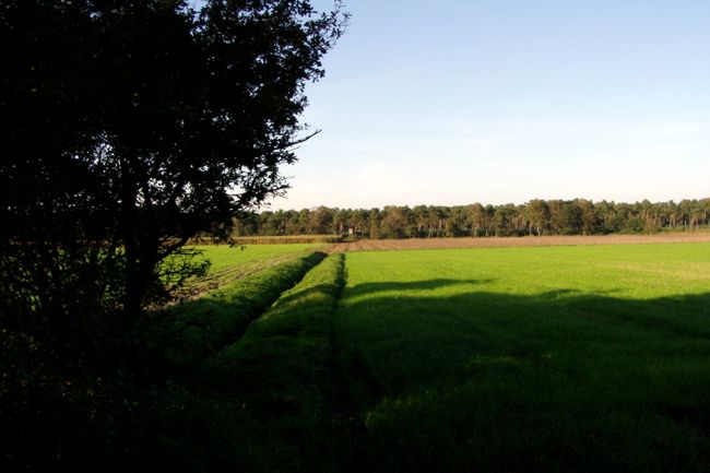 Ackerlandschaft