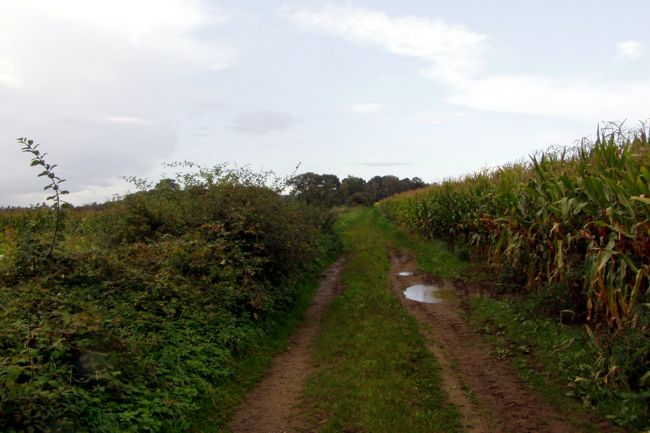 kleiner Bauernweg