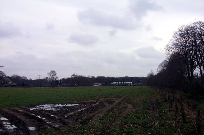 Blick ber eine groe Wiese