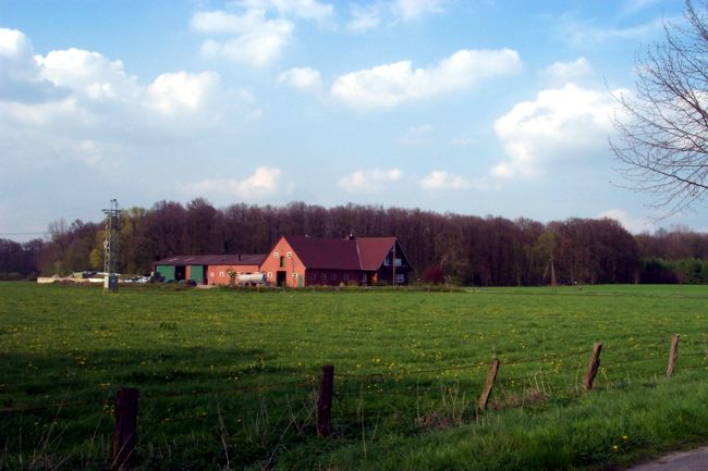 Blick auf einen Bauernhof