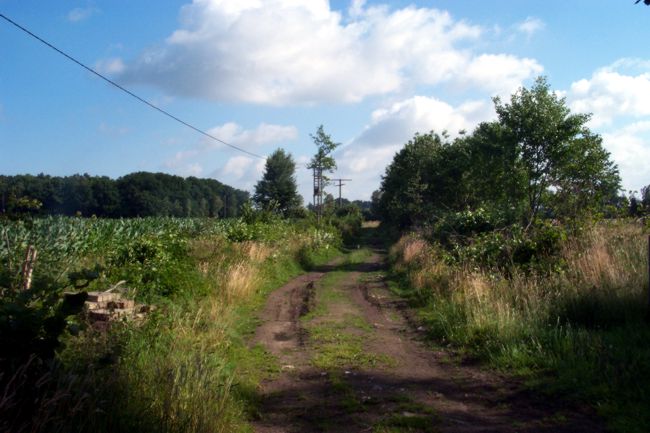 Blick entlang eines Feldweges