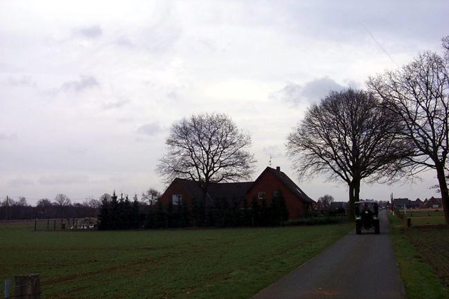 Blick entlang der Marienburger Strae