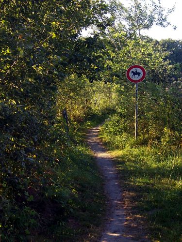 Ein Reitweg