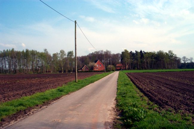 Blick entlang einer Landstrae