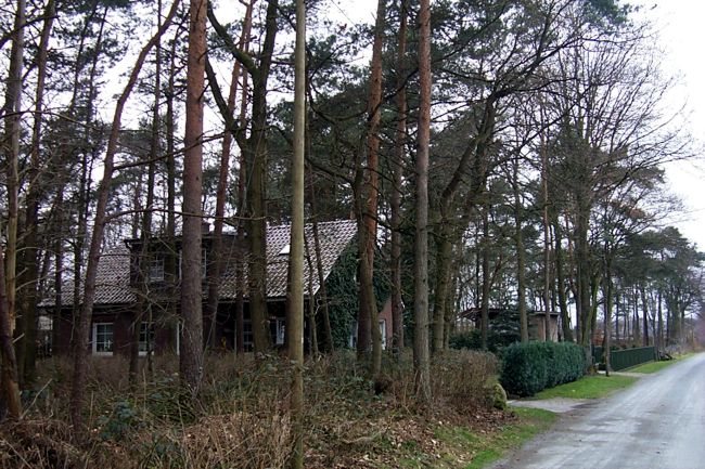 Ein kleines Haus in einem Waldstck