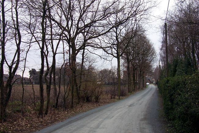 Blick entlang einer Landstrae