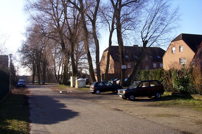 Groe, beeindruckende Bume entlang der Strae