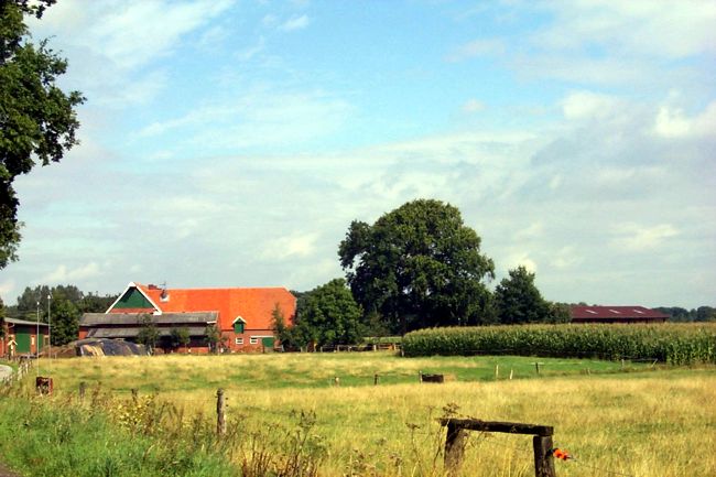 Blick auf einen Bauernhof