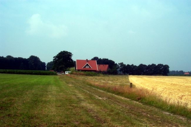 Blick auf einen Bauernhof