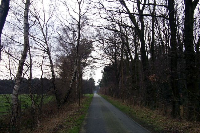 Blick entlang einer Landstrae
