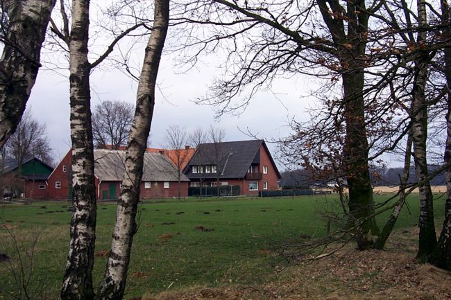Blick auf einen Bauernhof