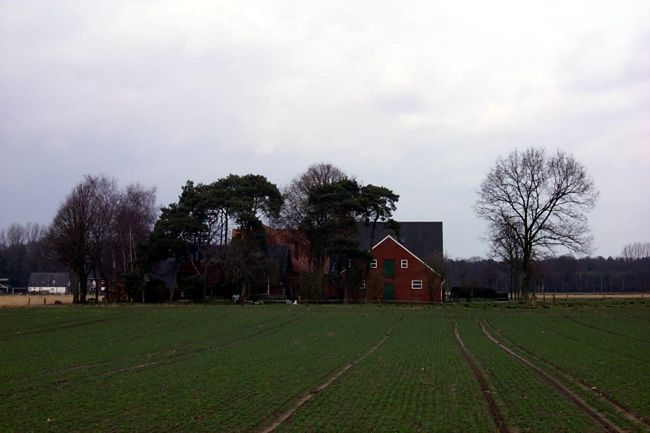 Blick auf einen Bauernhof