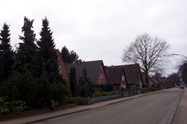 In diesem Vorgarten stehen groe Tannen