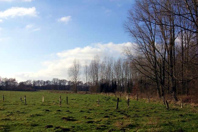 Hier trennen Zune mehrere Weiden voneinander