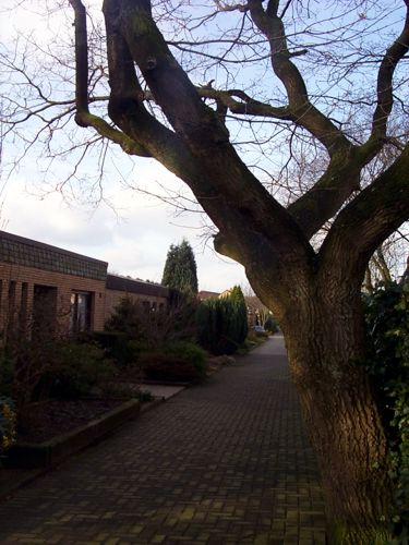Eine Reihe Bungalows