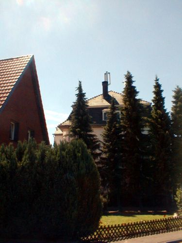 In diesem Garten stehe groe, beeindruckende Tannen