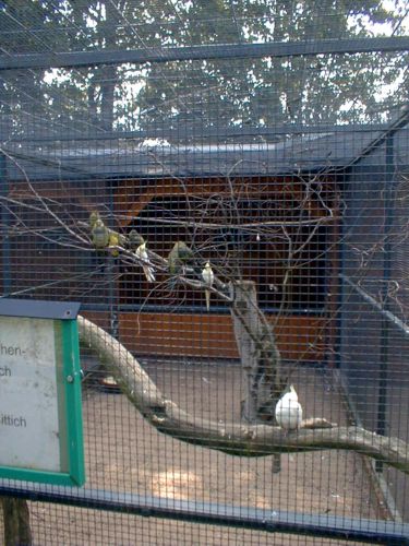 Hier kan man verschiedene Vogelarten in ihren Volieren betrachten