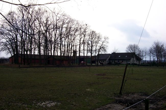 Blick auf einen Bauernhof