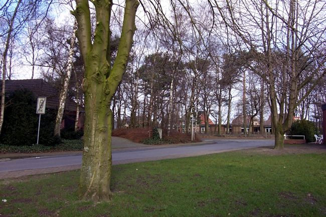 Groe, beeindruckende Kastanienbume