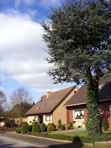 Ein Haus mit einem schnen Vorgarten