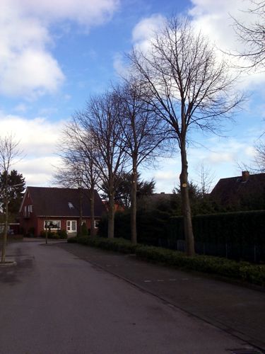 Ein Parkstreifen in der Desdener Strae
