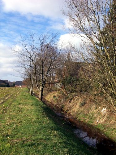 Ein Wassergraben zwischen einem Feld und einer Siedlung