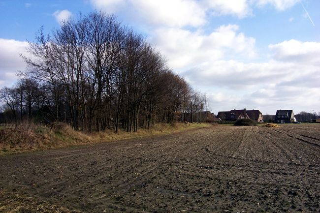 Blick ber einen Acker
