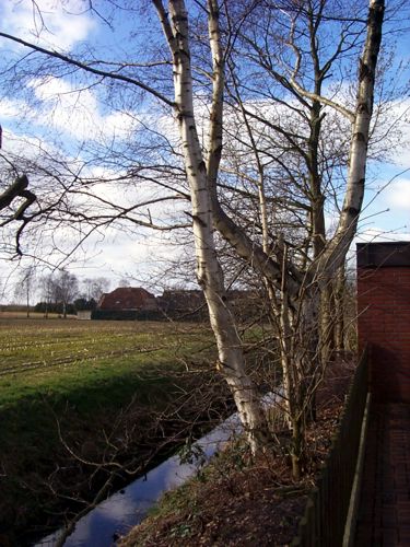 Ein Wassergraben zwischen einem Feld und einer Siedlung