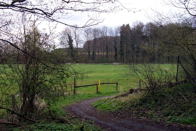 Blick ber eine groe Weide