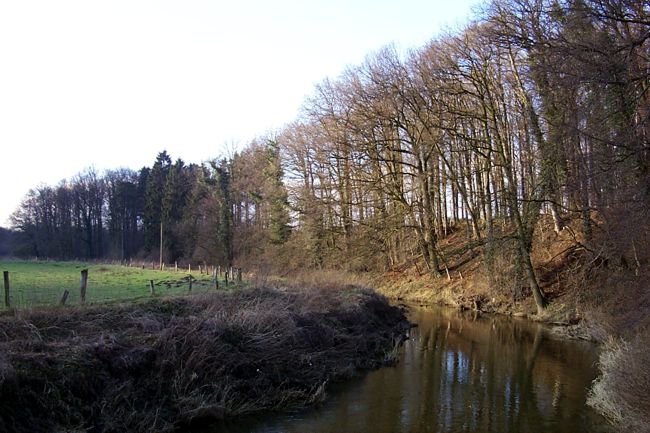 Die Berkel