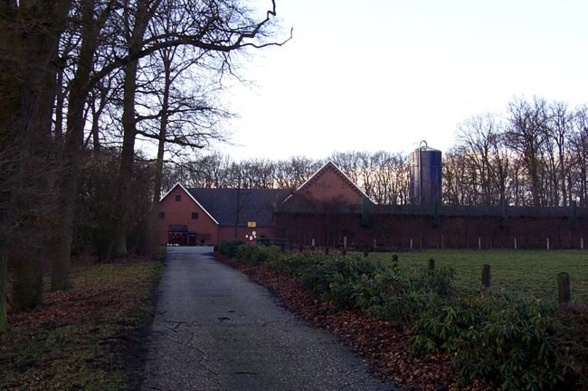 Blick auf einen Bauernhof