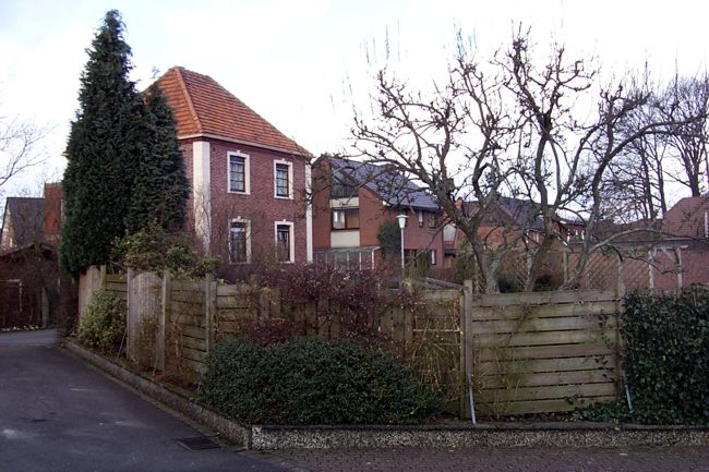 In diesem Garten steht ein groer Obstbaum 